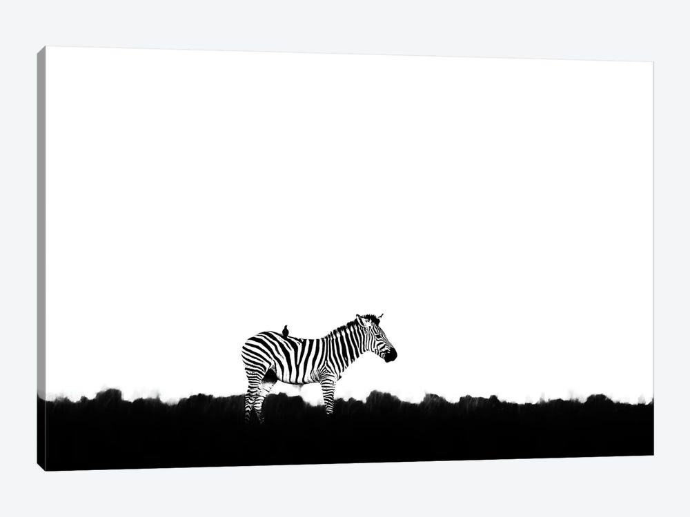 Zebra With Bird Doctor by Ondřej Prosický 1-piece Canvas Wall Art