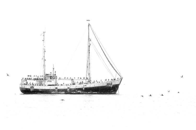 Cormorant Wreck by Ondřej Prosický wall art