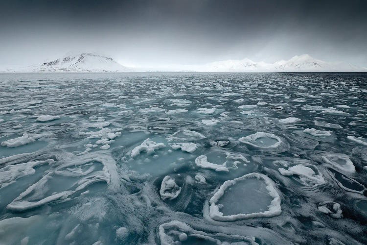 Floating Ice In The Arctic