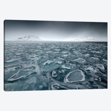 Floating Ice In The Arctic Canvas Print #OPR53} by Ondřej Prosický Canvas Art