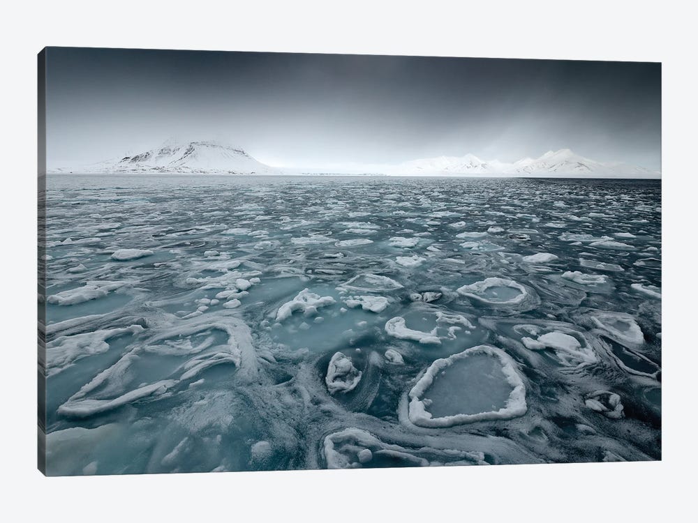 Floating Ice In The Arctic by Ondřej Prosický 1-piece Canvas Artwork