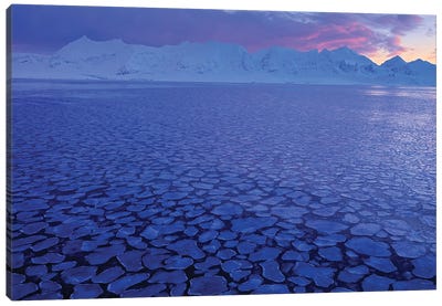 Arctic Sea Canvas Art Print - Ondřej Prosický
