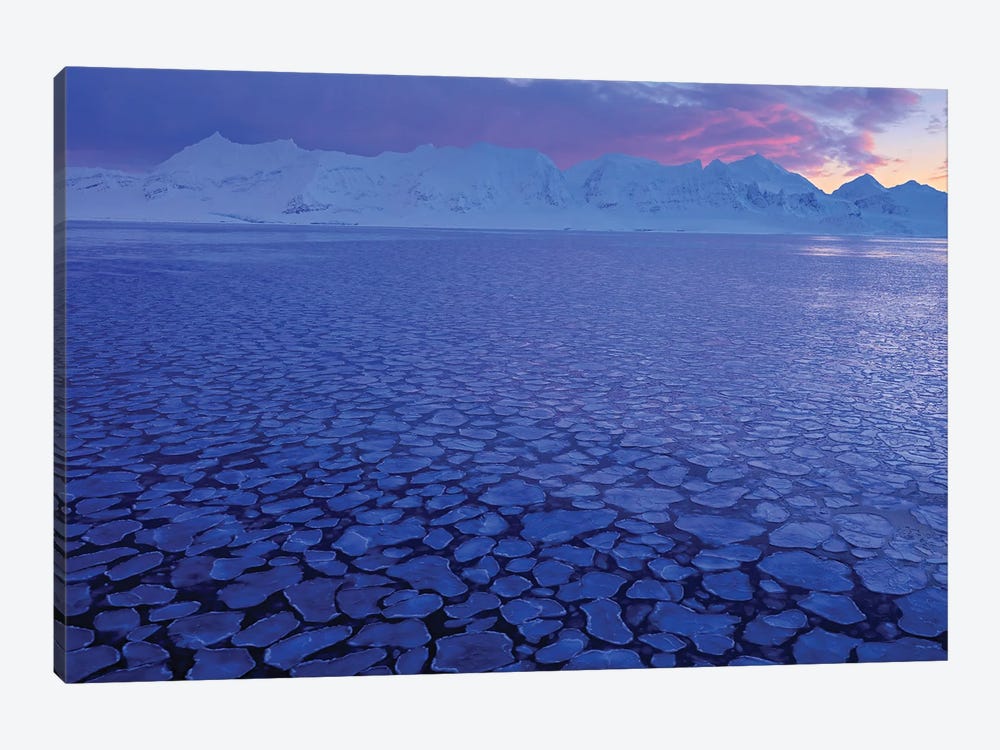 Arctic Sea by Ondřej Prosický 1-piece Canvas Artwork