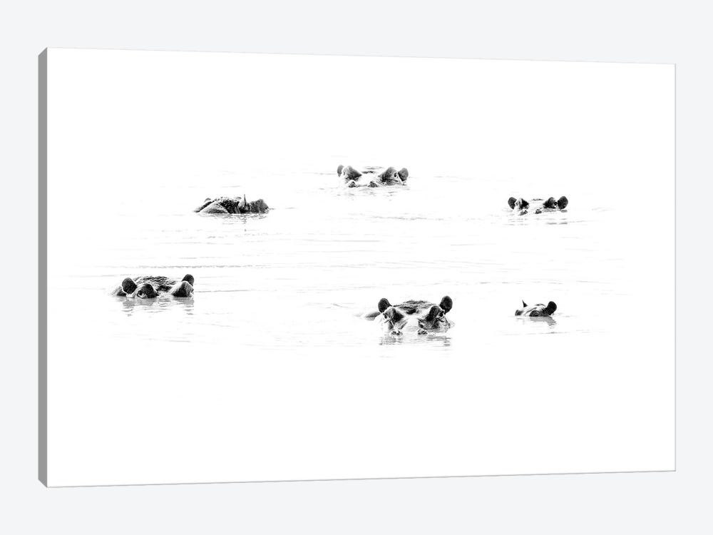 Hippos Watching by Ondřej Prosický 1-piece Canvas Print