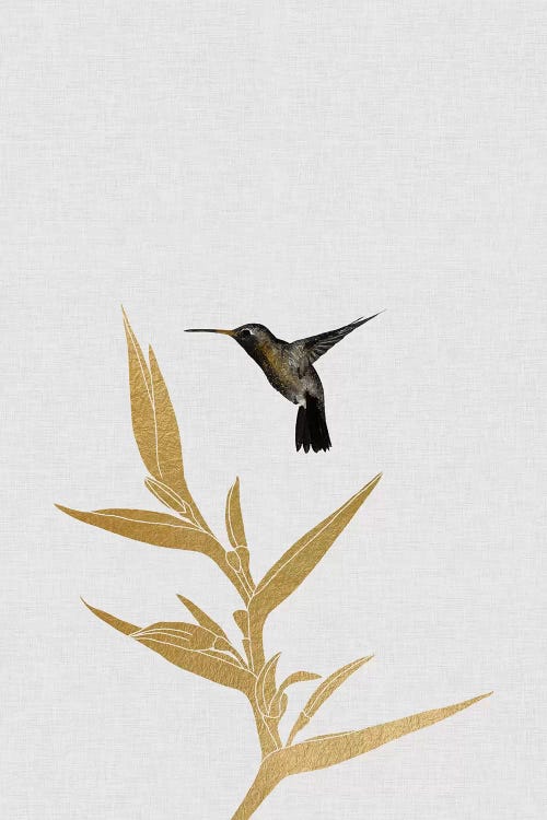 Hummingbird & Flower I by Orara Studio wall art