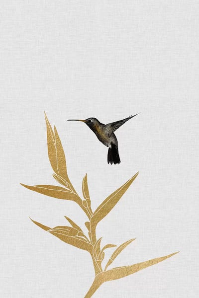 Floral & Botanical: Hummingbird & Flower I by Orara Studio