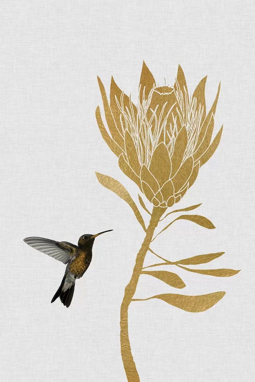 Hummingbird & Flower II by Orara Studio wall art