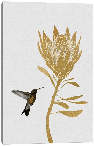 Hummingbird & Flower II Canvas Art Print - Black, White & Gold Art