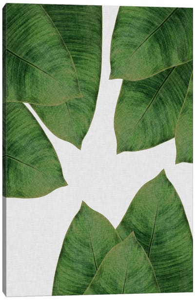 Banana Leaf I Canvas Art Print - Tropical Leaf Art