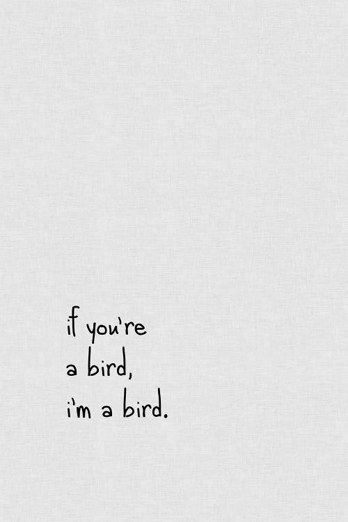 If You're A Bird