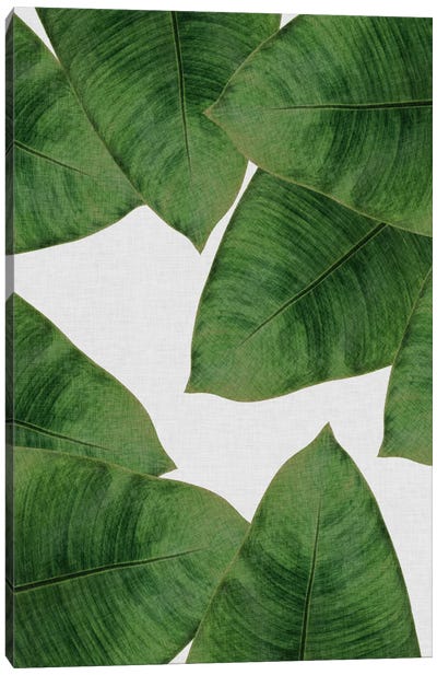 Banana Leaf II Canvas Art Print - Tea Garden
