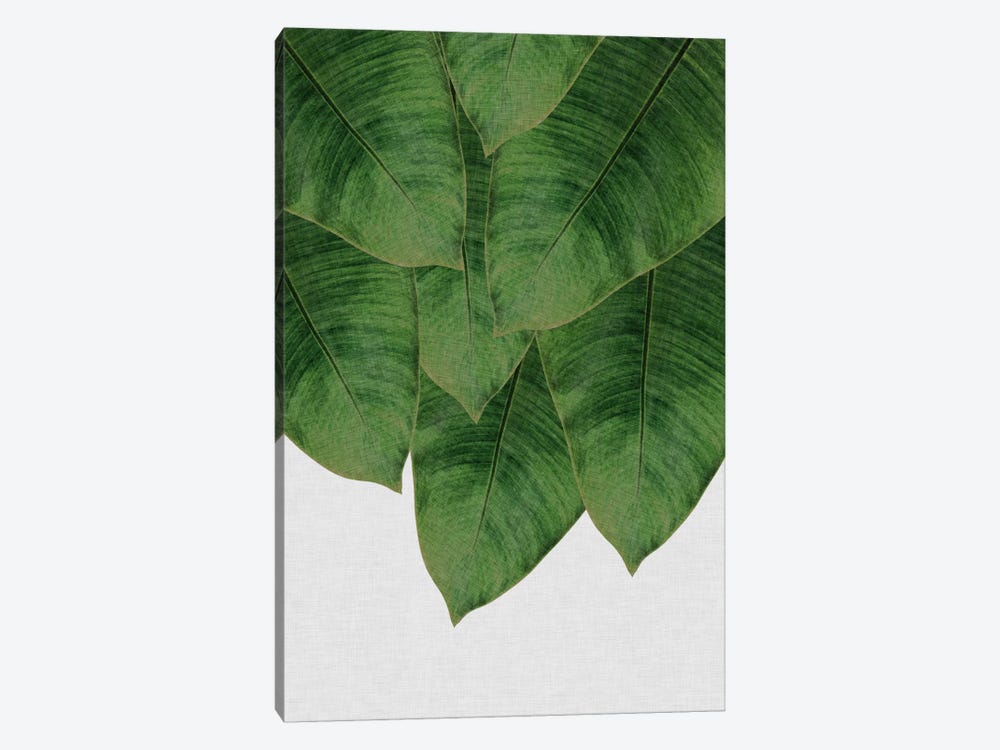 Banana Leaf III by Orara Studio 1-piece Art Print