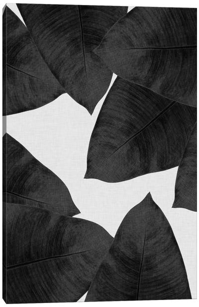 Banana Leaf II B&W Canvas Art Print - Black & Dark Art