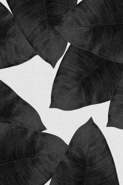 Tropical Leaves: Banana Leaf II B&W by Orara Studio