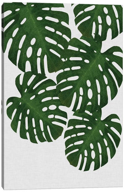 Monstera Leaf II Canvas Art Print - Green Art