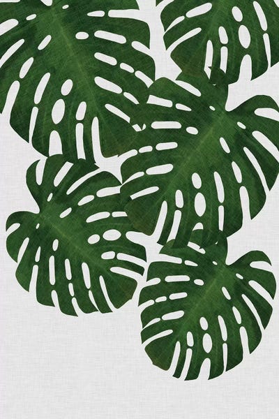Pineapples: Monstera Leaf II by Orara Studio