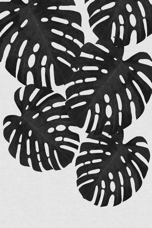 Monstera Leaf II B&W