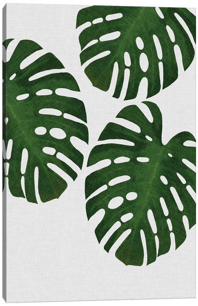 Monstera Leaf III Canvas Art Print - Green Art