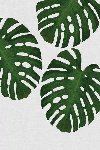 Pineapples: Monstera Leaf III by Orara Studio