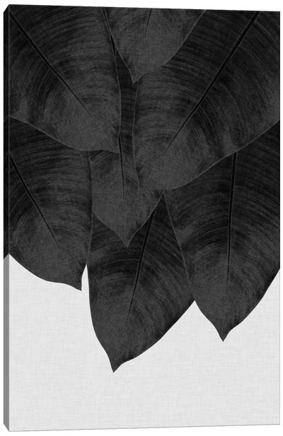 Banana Leaf III B&W Canvas Art Print - Tropical Décor