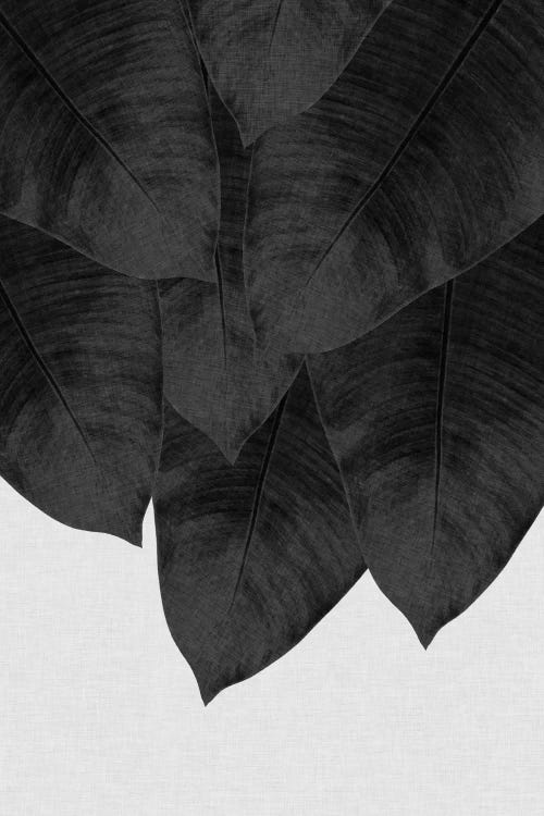 Banana Leaf III B&W