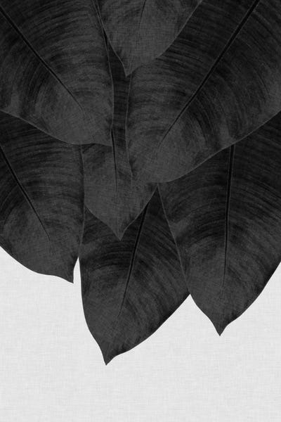 Orara Studio: Banana Leaf III B&W by Orara Studio