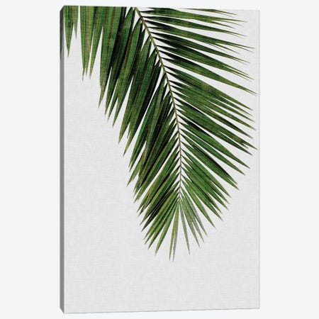 Palm Leaf I Canvas Print #ORA170} by Orara Studio Art Print