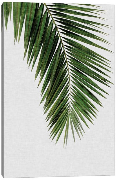 Palm Leaf I Canvas Art Print - Tropical Décor