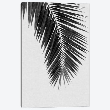 Palm Leaf I B&W Canvas Print #ORA171} by Orara Studio Canvas Art Print