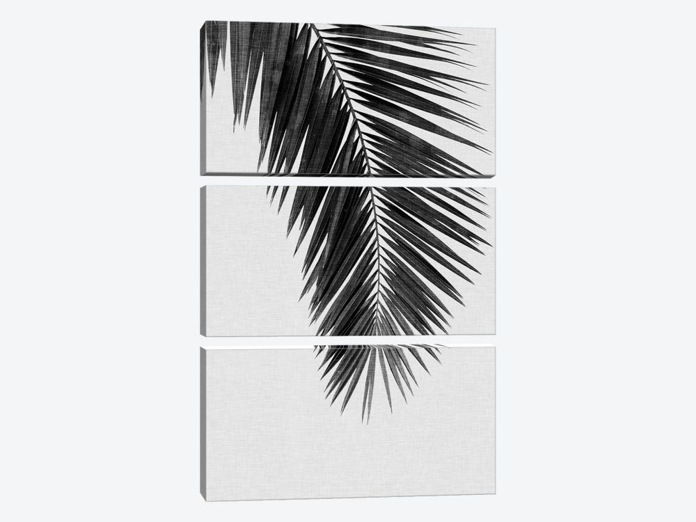 Palm Leaf I B&W 3-piece Canvas Art Print