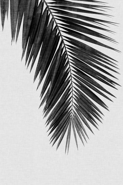 Bohemian Décor: Palm Leaf I B&W by Orara Studio