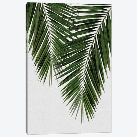 Palm Leaf II Canvas Print #ORA173} by Orara Studio Art Print