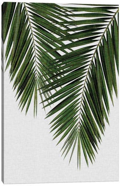 Palm Leaf II Canvas Art Print - Bohemian Décor
