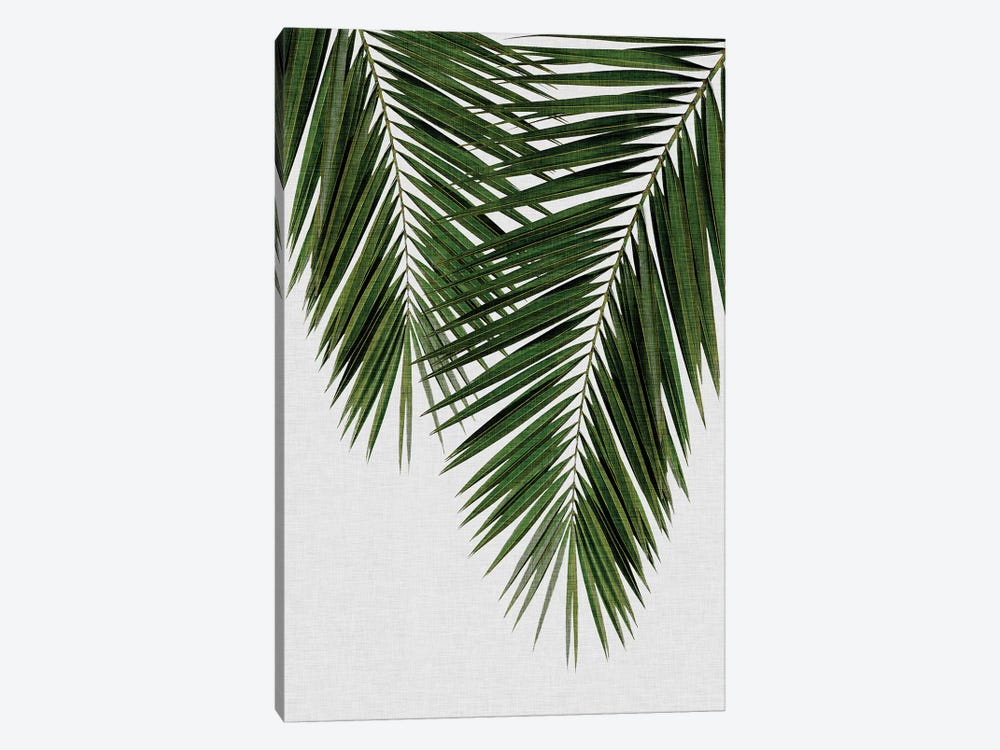 Palm Leaf II by Orara Studio 1-piece Canvas Print