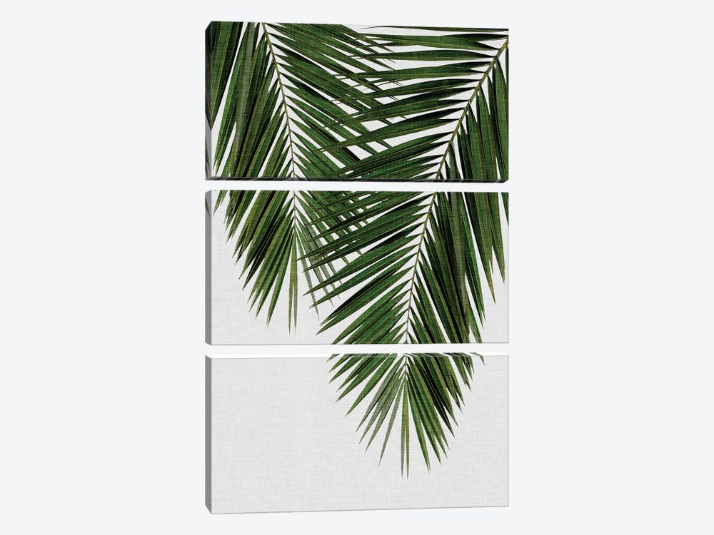 Palm Leaf II by Orara Studio 3-piece Canvas Print