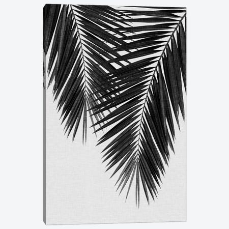 Palm Leaf II B&W Canvas Print #ORA174} by Orara Studio Canvas Wall Art