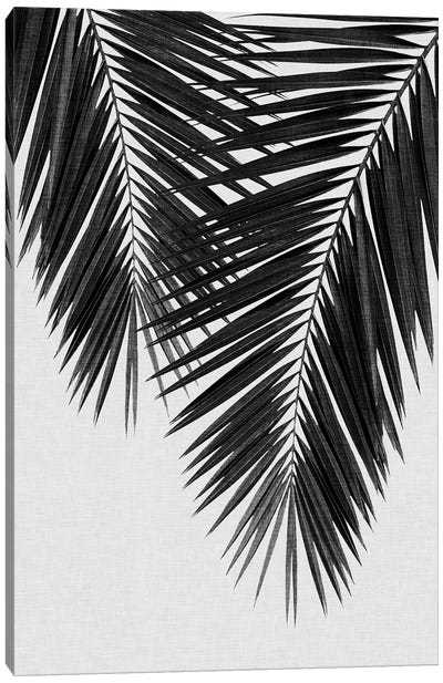 Palm Leaf II B&W Canvas Art Print - Tropical Leaf Art