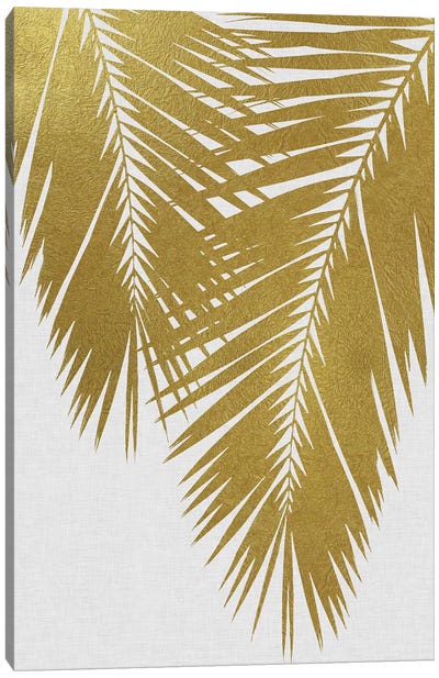 Palm Leaf II Gold Canvas Art Print - Gold & White Art