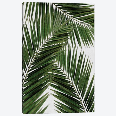Palm Leaf III Canvas Print #ORA176} by Orara Studio Canvas Wall Art