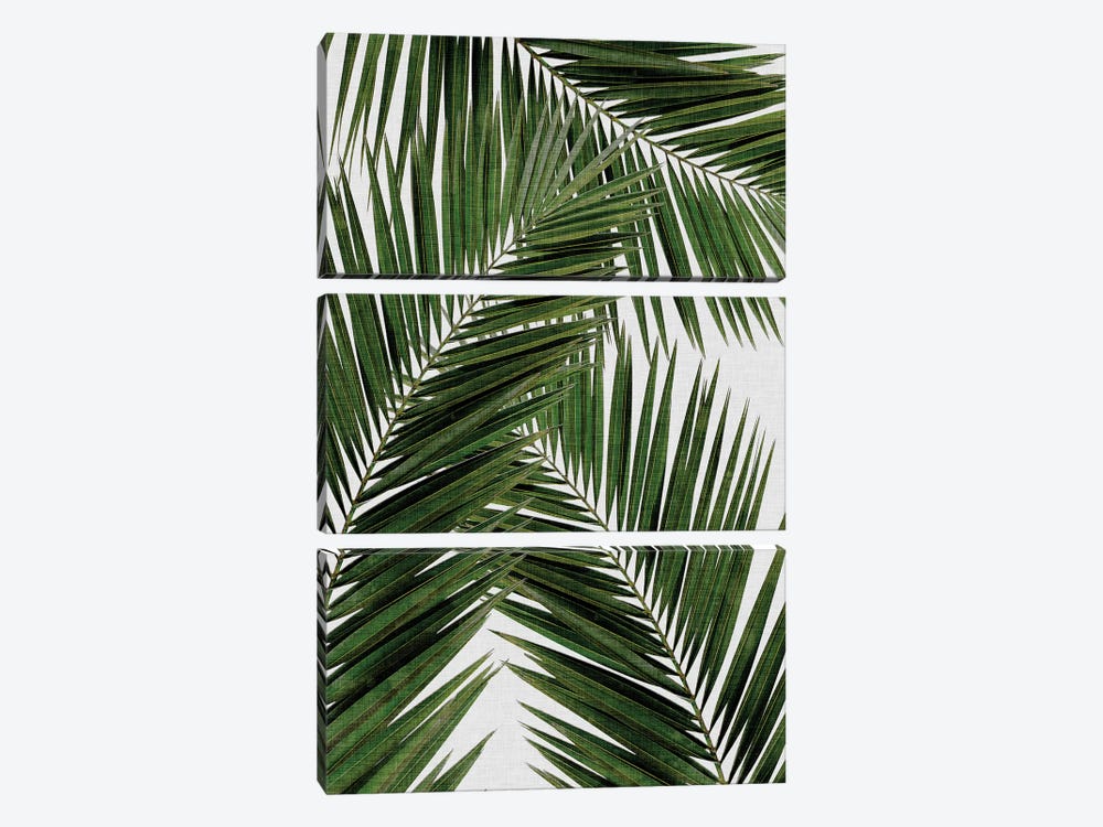 Palm Leaf III by Orara Studio 3-piece Canvas Art