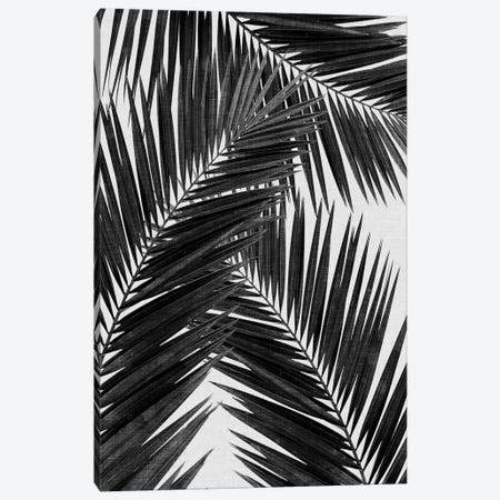 Palm Leaf III B&W Canvas Print #ORA177} by Orara Studio Canvas Artwork