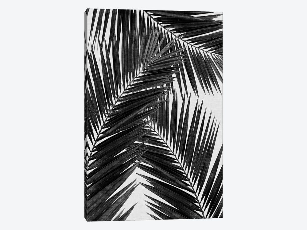 Palm Leaf III B&W by Orara Studio 1-piece Art Print