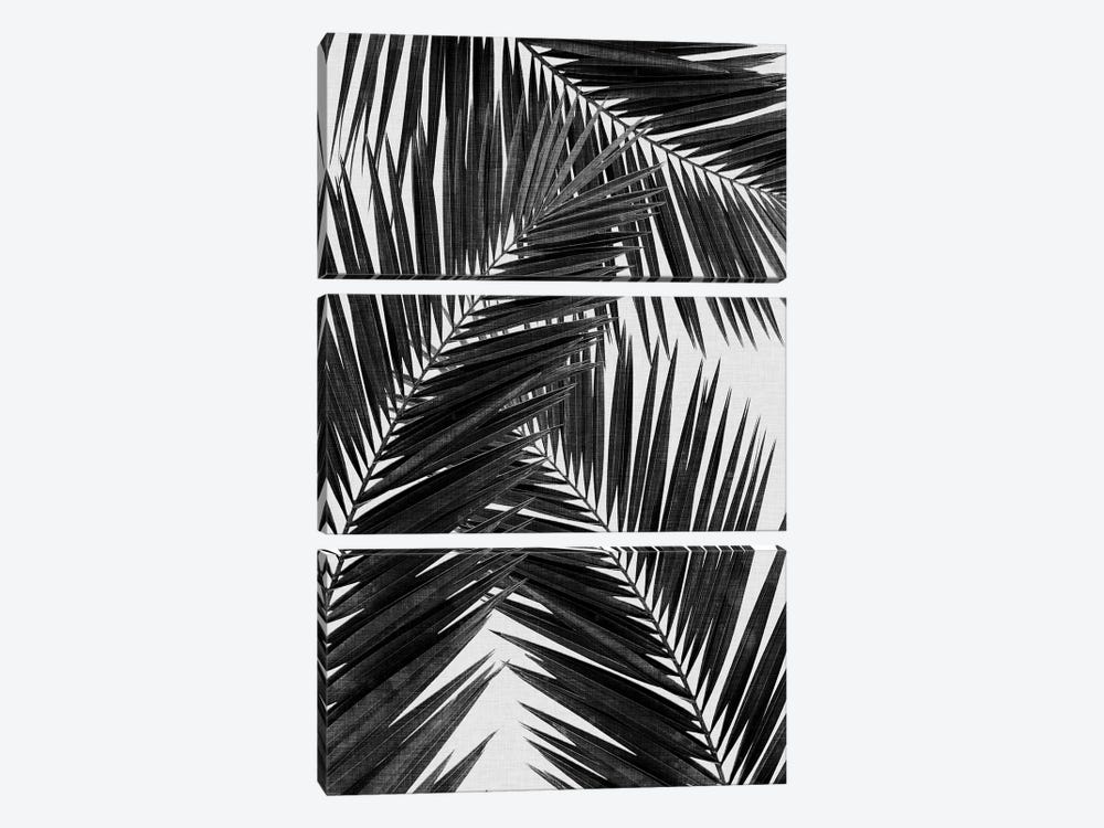 Palm Leaf III B&W by Orara Studio 3-piece Canvas Art Print