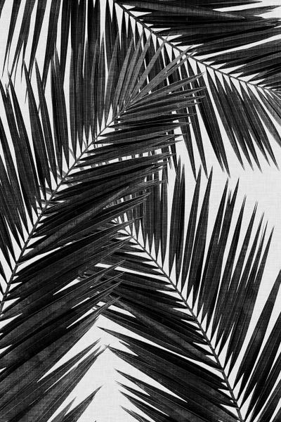 Pineapples: Palm Leaf III B&W by Orara Studio