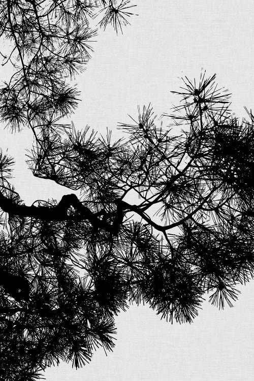 Pine Tree by Orara Studio wall art
