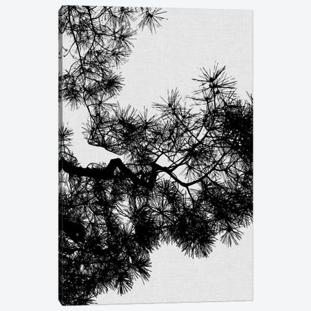 Pine Tree Canvas Print #ORA190} by Orara Studio Canvas Art Print