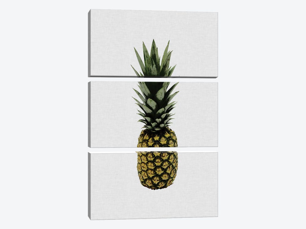Pineapple I by Orara Studio 3-piece Art Print