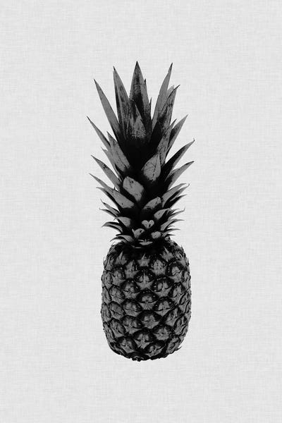Orara Studio: Pineapple I B&W by Orara Studio