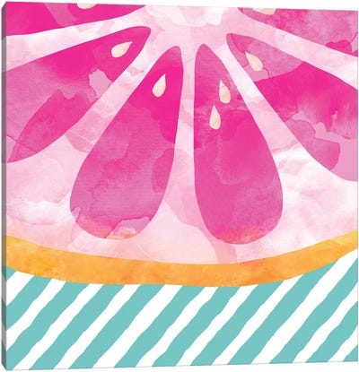 Pink Grapefruit Abstract Canvas Art Print - Tropics to the Max