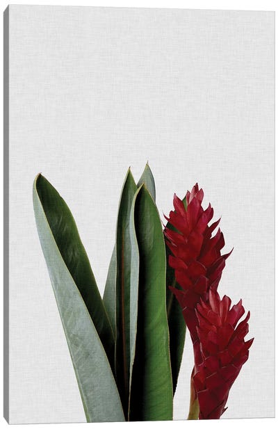 Red Flower Canvas Art Print - Minimalist Flowers